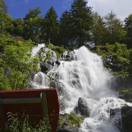 Waldloft Titisee Eksteriør billede