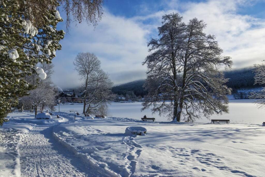 Waldloft Titisee Eksteriør billede