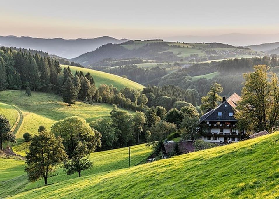 Waldloft Titisee Eksteriør billede