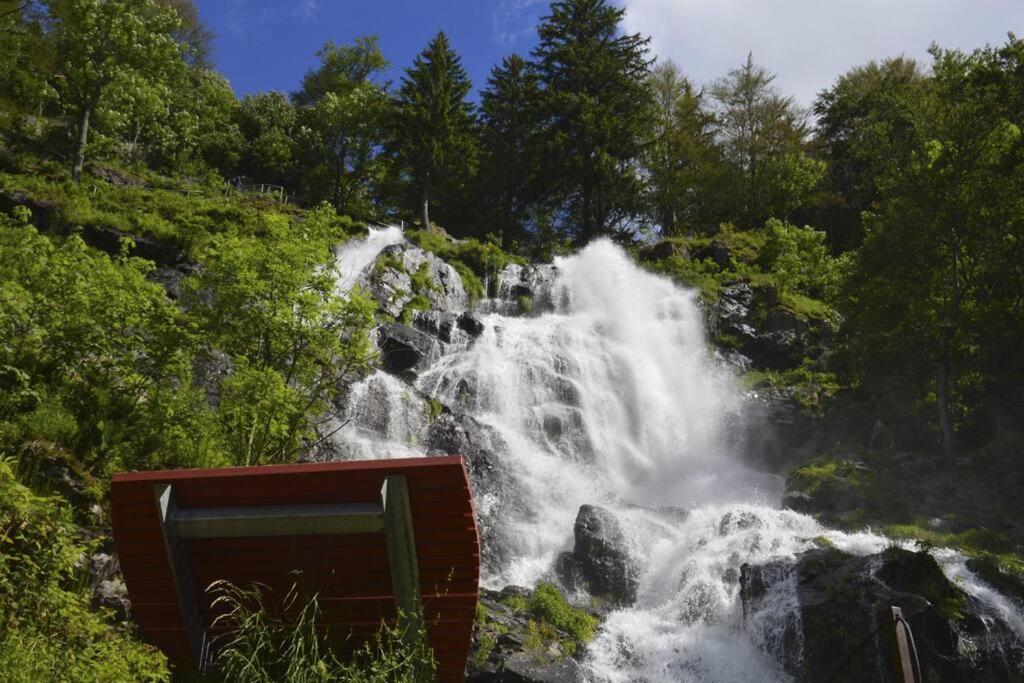 Waldloft Titisee Eksteriør billede