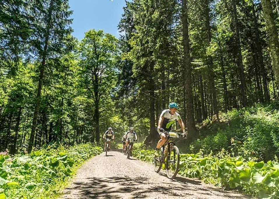 Waldloft Titisee Eksteriør billede