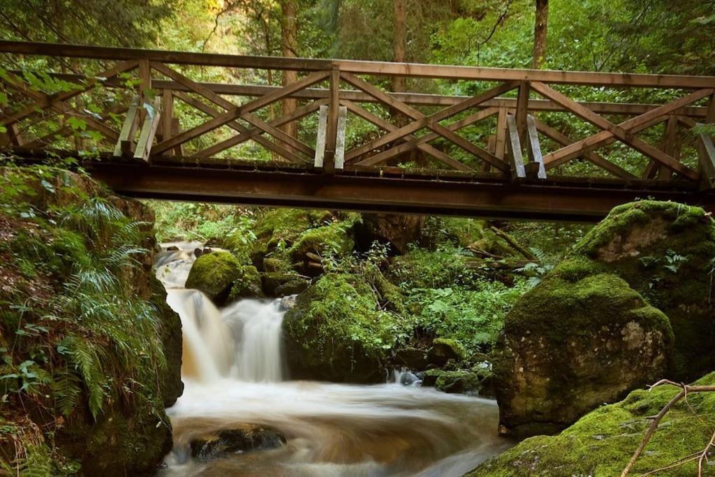Waldloft Titisee Eksteriør billede