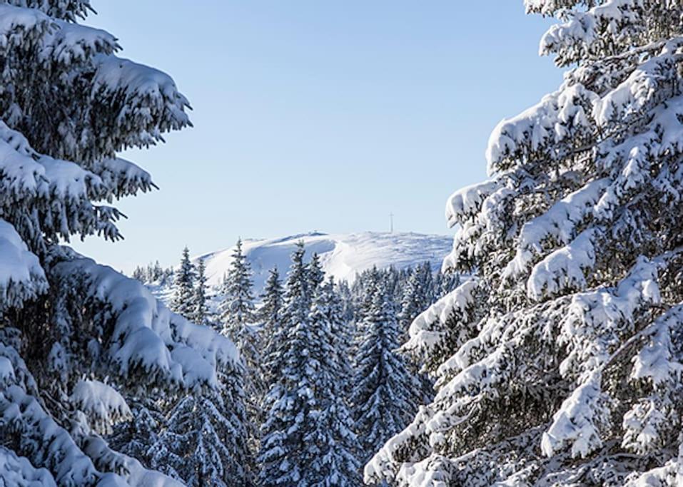 Waldloft Titisee Eksteriør billede